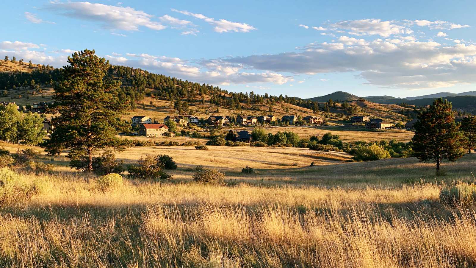 Grassland and pine foothills rising behind a Colorado hillside neighborhood