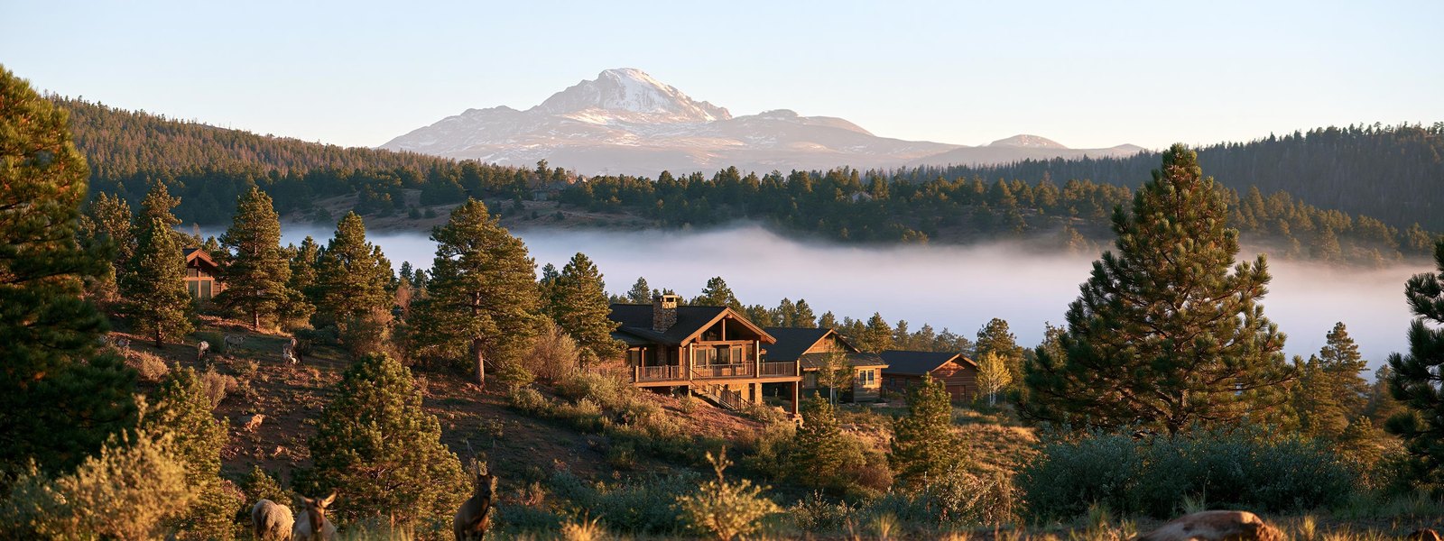 Houses among pines on rolling high ground near Monument, Colorado